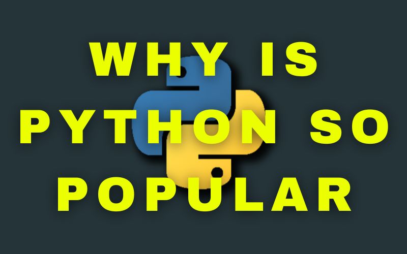 why is python so popular